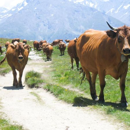 Aux Portes Du Parc National De La Vanoise Appartement Termignon Val Cenis Avec Wifi Экстерьер фото