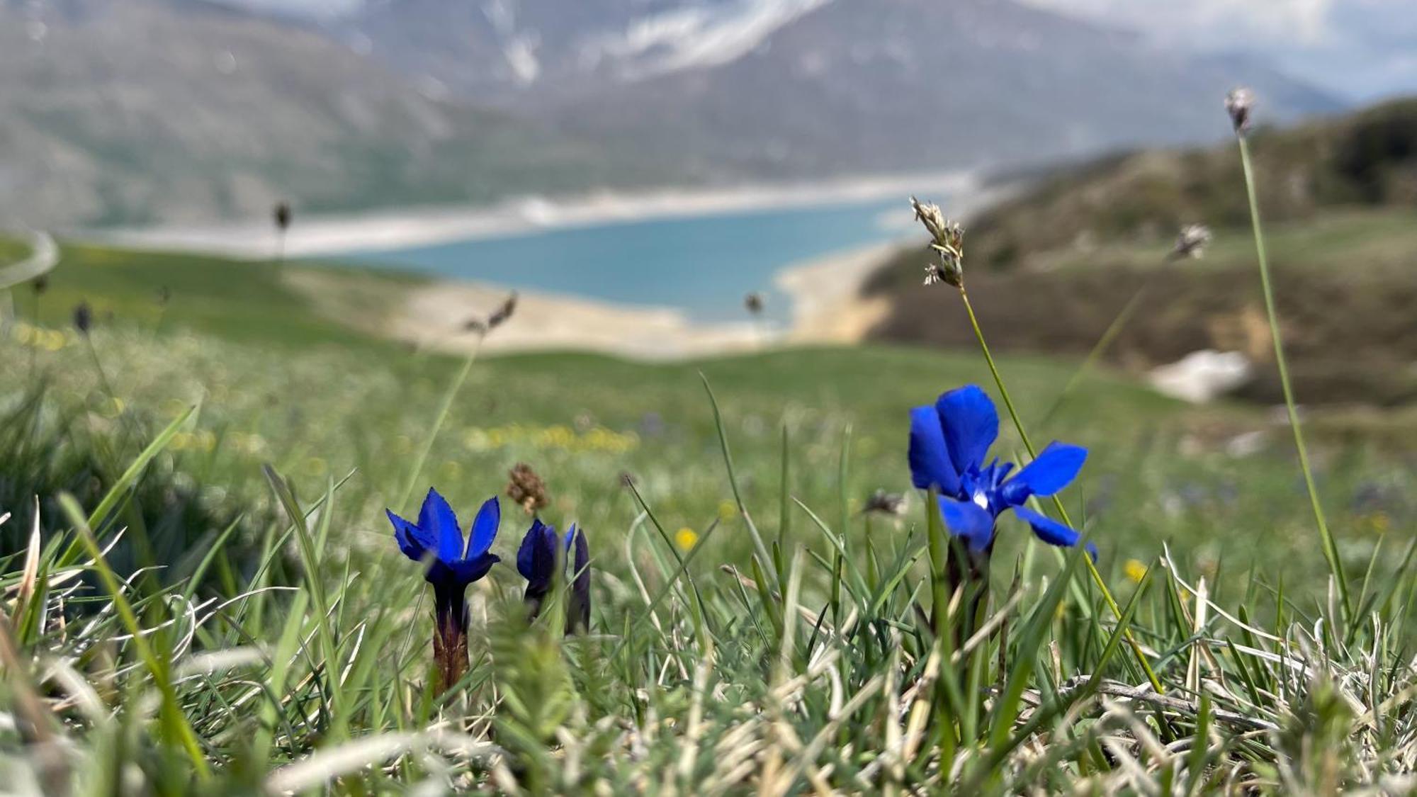 Aux Portes Du Parc National De La Vanoise Appartement Termignon Val Cenis Avec Wifi Экстерьер фото