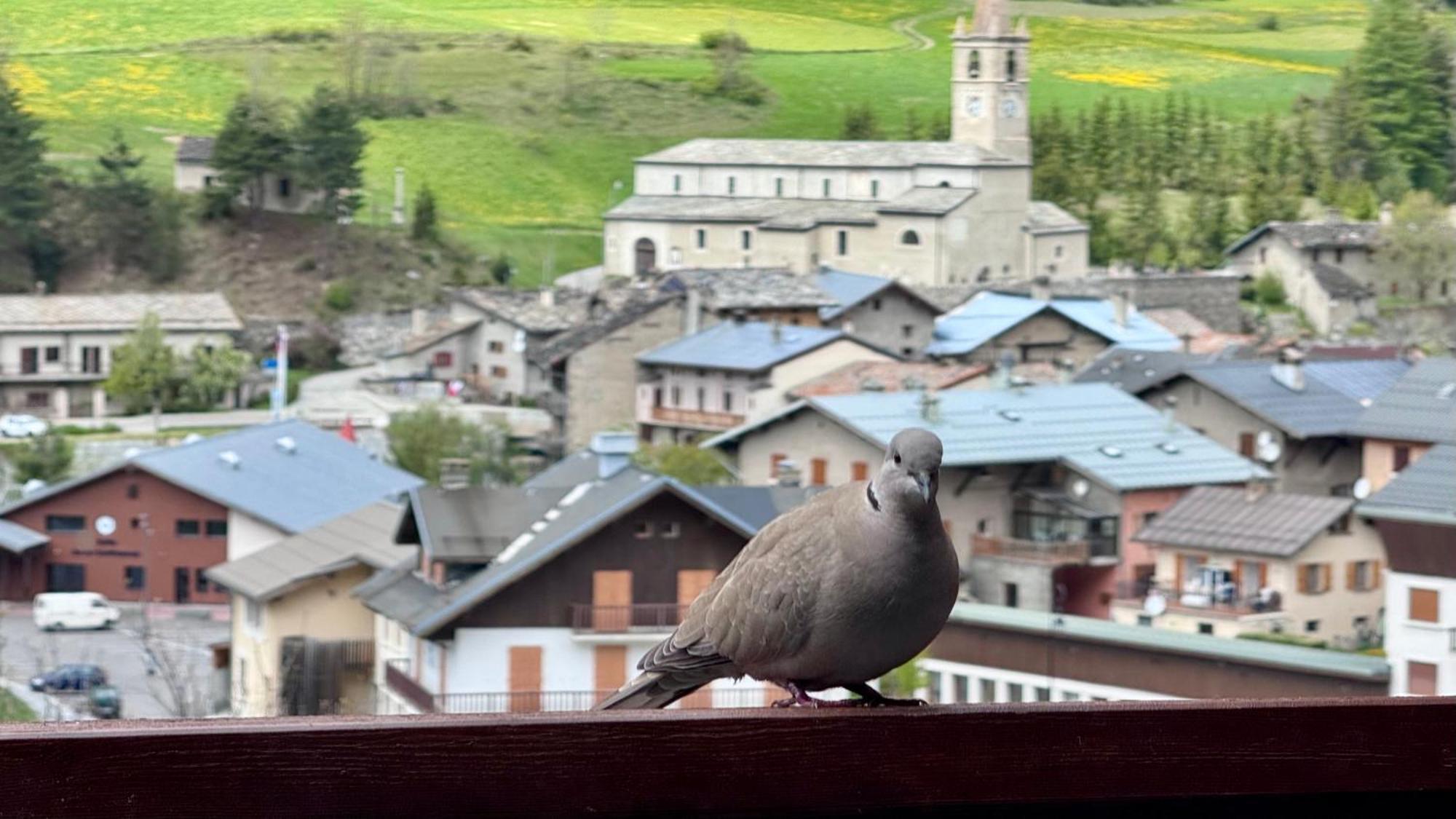 Aux Portes Du Parc National De La Vanoise Appartement Termignon Val Cenis Avec Wifi Экстерьер фото